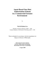 Agent based one shot authorisation scheme in a commercial extranet environment 