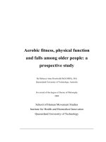 Aerobic fitness, physical function and falls among older people  a prospective study 