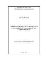 Nghiên cứu thu nhận hoạt chất kìm hãm αglucosidaza từ Aspergillus oryzae và hướng ứng dụng (LA tiến sĩ)