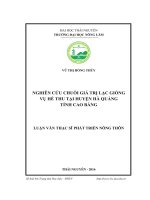 Nghiên cứu chuỗi giá trị Lạc giống vụ Hè thu tại huyện Hà Quảng, tỉnh Cao Bằng (LV thạc sĩ)