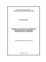 Nghiên cứu tạo lớp đắp chịu mài mòn trên nền thép các bon bằng công nghệ hàn Plasma bột (LA tiến sĩ)
