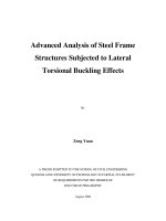 Advanced analysis of steel frame structures subjected to lateral torsional buckling effects 