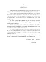 Nghiên cứu thu nhận pectic oligosaccharide từ pectin vỏ chanh leo bằng endopolygalacturonase (LA tiến sĩ)