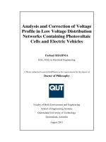 Analysis and correction of voltage profile in low voltage distribution networks containing photovoltaic cells and electric vehicles 