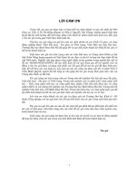 Nghiên cứu sử dụng chitosan Việt Nam như chất kháng khuẩn cho vải bông (LA tiến sĩ)