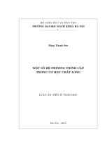 Một số hệ phương trình cặp trong cơ học chất lỏng (LA tiến sĩ)