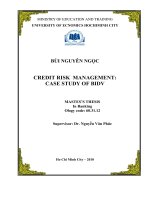Credit risk management case study of BIDV 