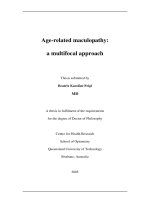 Age related maculopathy a multifocal approach 