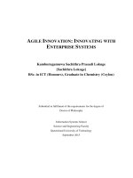 Agile innovation innovating with enterprise systems 