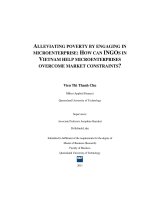 Alleviating poverty by engaging in microenterprise  how can INGOs in vietnam help microenterprises overcome market constraints 