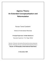 Agency theory an extended conceptualisation and reformation 