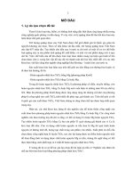 Nghiên cứu thăm dò chế tạo bột titan kim loại bằng phương pháp nhiệt kim TiO2 (LA tiến sĩ)