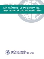 SẢN PHẨM DỊCH VỤ TÀI CHÍNH VI MÔ: THỰC TRẠNG VÀ GIẢI PHÁP PHÁT TRIỂN