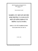 Nghiên cứu một số chỉ tiêu sinh trưởng và năng suất một số giống khoai tây trồng tại Xuân Hoà (Khóa luận tốt nghiệp)