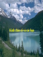 THUYẾT TRÌNH Tìm hiểu về hệ thống Chiller và công trình Vinadat