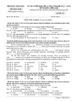 Đề  tuyển sinh vào lớp 10 môn Tiếng Anh