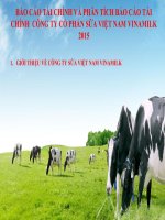 slide phân tích bctc công ty cổ phần sữa việt nam 2014-2015