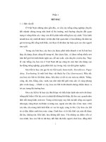 Nghiên cứu khả năng sinh trưởng và phát triển của giống hoa cúc bất tử với điều kiện khí hậu miền bắc