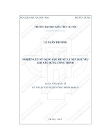 Nghiên cứu sử dụng cọc để xử lý nền đất yếu khi xây dựng công trình (tt)