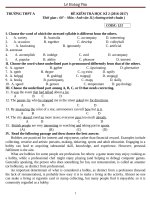 Đề kiểm tra học kì 2 tiếng anh 11