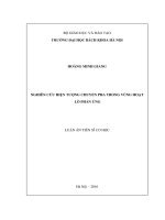 Nghiên cứu hiện tượng chuyển pha trong vùng hoạt lò phản ứng (LA tiến sĩ)