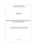 Nghiên cứu chế tạo và tính chất quang của vật liệu ZnO, ZnO pha tạp các bon (LA tiến sĩ)