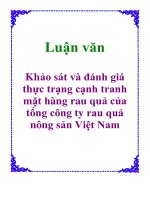 Khảo sát và đánh giá thực trạng cạnh tranh mặt hàng rau quả của tổng công ty rau quả nông sản việt nam