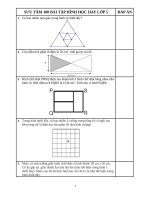 SƯU tầm 100 bài tập HAY HÌNH học lớp 5