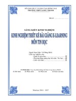 skkn một số kinh nghiệm thiết kế bài giảng e learning môn tin học 