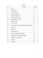 skkn một số biện pháp phát triển ngôn ngữ cho trẻ 25 36 tháng thông qua hđ kể chuyện 