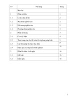 skkn một số biện pháp nâng cao chất lượng lĩnh vực tình cảm và kỹ năng xã hội cho trẻ MGB qua hoạt động góc 