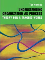 ORGANIZATION understanding organization as process theory for a tangled world 