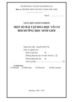 SKKN số bài tập hóa học vô cơ bồi DƯỠNG HSG 