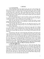 skkn một số biện pháp giáo dục ý thức bảo vệ môi trường cho trẻ 5 6 tuổi ở trường mầm non thiệu vũ, năm học 2016 2017  