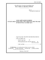 SKKN 2017  HOA NGUYENTHIPHUONGNHUNG THPTTTTRUONGVINHKY 