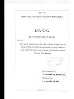 Xây dựng phương pháp lấy mẫu và phân tích zn, cd, pb trong không khí bằng cực phổ xung vi phân  khảo sát sự ô nhiễm tại một số cơ sở luyện kim màu và khu vực lân cận thái nguyên   1999 (tt) 