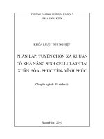Phân lập, tuyển chọn xạ khuẩn khả năng sinh Cellulase từ đất tại Xuân Hoà  Phúc Yên  Vĩnh Phúc (Khóa luận tốt nghiệp)