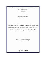 Nghiên cứu đặc điểm lâm sàng, hình ảnh tổn thương hệ động mạch cảnh trong ở bệnh nhân đột quỵ nhồi máu não (FULL TEXT)