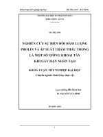 Nghiên cứu sự biến đổi hàm lượng Prolin và áp suất thẩm thấu trong lá một số giống khoa tây khi gây hạn nhân tạo (Khóa luận tốt nghiệp)
