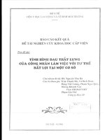 Tình hình đau thắt lưng của công nhân làm việc với tư thế bất lợi tại một số cơ sở   1998 (tt) 