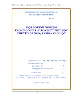 skkn một số kinh nghiệm trong công tác tổ chức tiết học chuyên đề ngoại khóa văn học 