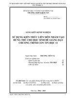 skkn sử DỤNG KIẾN THỨC LIÊN môn NHẰM tạo HỨNG THÚ CHO học SINH để GIẢNG dạy CHƯƠNG TRÌNH CON TIN học 11 