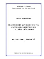 Phân tích hiệu quả hoạt động ngân hàng thương mại tại thành phố cần thơ 