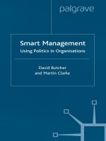 ORGANIZATIONAL POLITICS smart management using politics in organisations 