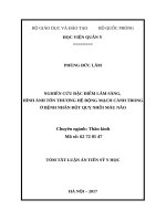 Nghiên cứu đặc điểm lâm sàng, hình ảnh tổn thương hệ động mạch cảnh trong ở bệnh nhân đột quỵ nhồi máu não (TT)