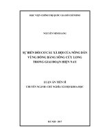 Sự biến đổi cơ cấu xã hội của nông dân vùng đồng bằng Sông Cửu Long giai đoạn hiện nay