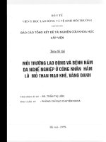 Môi trường lao động và bệnh nấm da nghề nghiệp ở công nhân hầm lò mỏ than mạo khê, vàng danh   1999 (tt) 