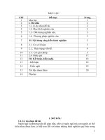 skkn một số biện pháp phát triển ngôn ngữ cho trẻ 25 36 tháng 