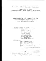 Nghiên cứu điều kiện lao động, tác hại nghề nghiệp của người lao động chăn nuôi gia súc gia cầm   2005 (tt) 