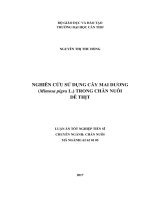 Nghiên cứu khả năng sử dụng cây Mai dương (Mimosa pigra L.) trong chăn nuôi dê thịt (LA tiến sĩ)
